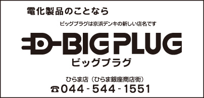 電化製品 BIGPLUG